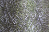 Maddington fibreglass roof work